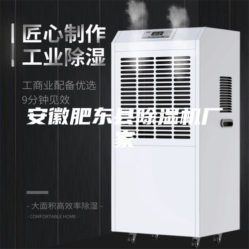 安徽肥东县除湿机厂家