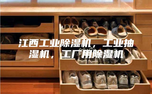 江西工业除湿机，工业抽湿机，工厂用除湿机