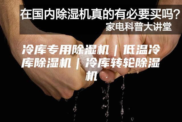 冷库专用除湿机｜低温冷库除湿机｜冷库转轮除湿机