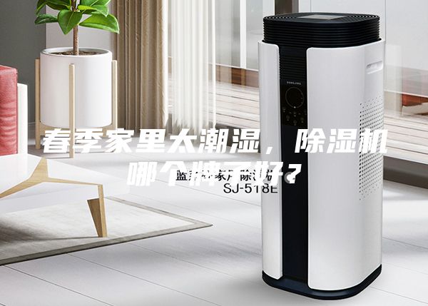 春季家里太潮湿，除湿机哪个牌子好？