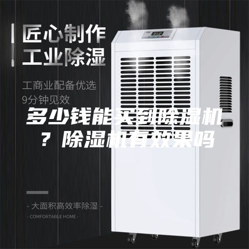 多少钱能买到除湿机？除湿机有效果吗
