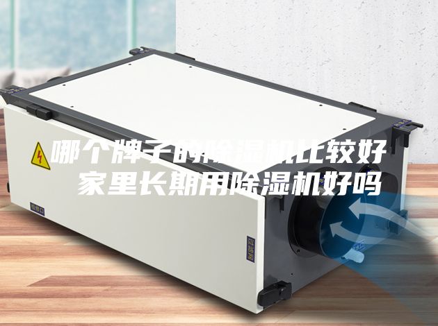 哪个牌子的除湿机比较好 家里长期用除湿机好吗