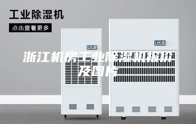 浙江机房工业除湿机报价及图片