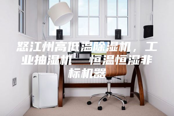 怒江州高低温除湿机，工业抽湿机  恒温恒湿非标机器