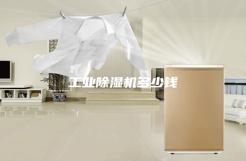 工业除湿机多少钱