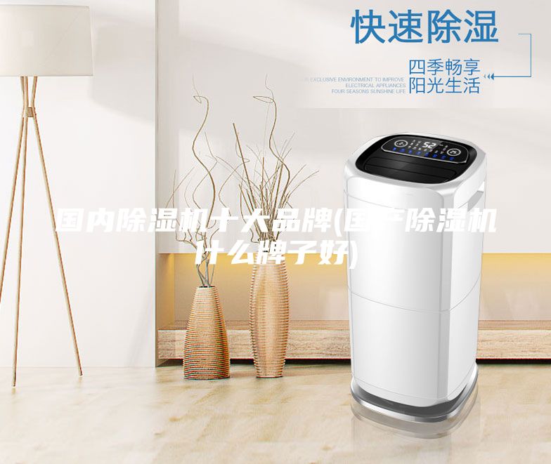 国内除湿机十大品牌(国产除湿机什么牌子好)