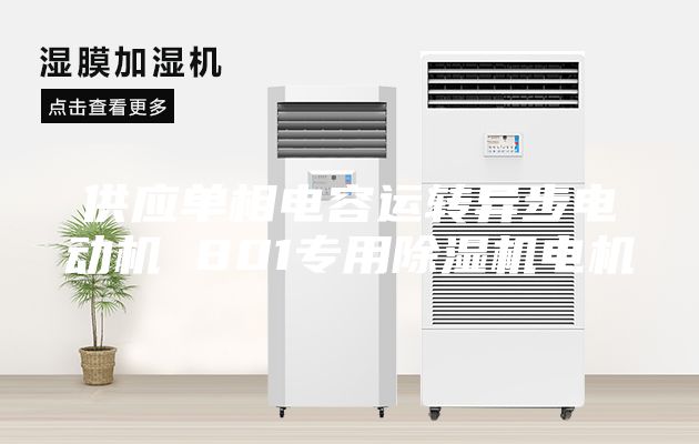 供应单相电容运转异步电动机 801专用除湿机电机