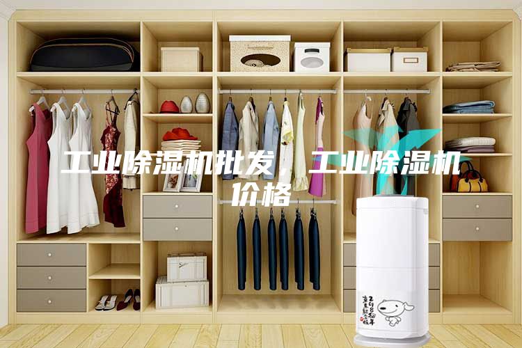 工业除湿机批发，工业除湿机价格