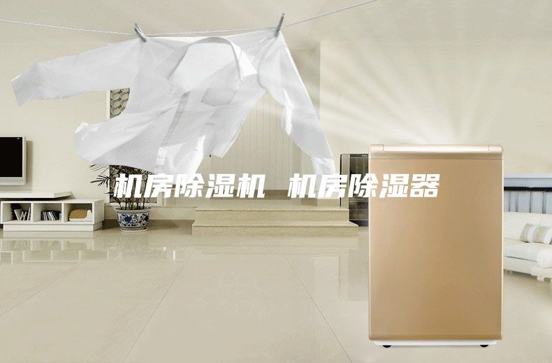 机房除湿机 机房除湿器