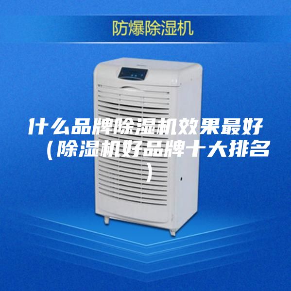 什么品牌除湿机效果最好（除湿机好品牌十大排名）