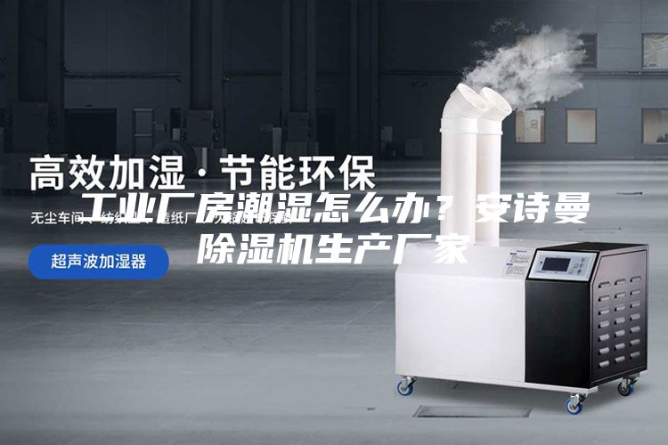 工业厂房潮湿怎么办？安诗曼除湿机生产厂家