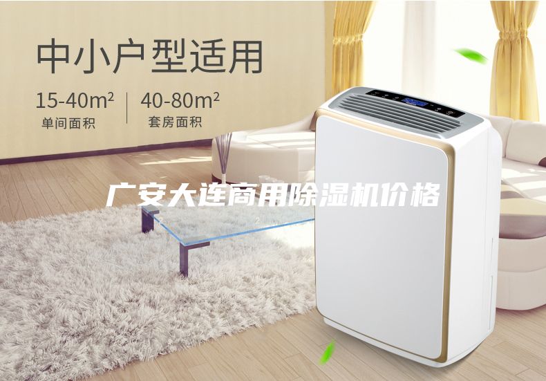 广安大连商用除湿机价格