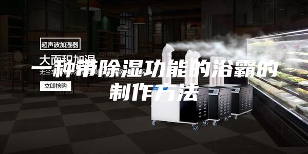 一种带除湿功能的浴霸的制作方法