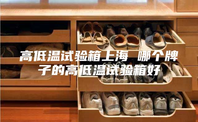 高低温试验箱上海 哪个牌子的高低温试验箱好