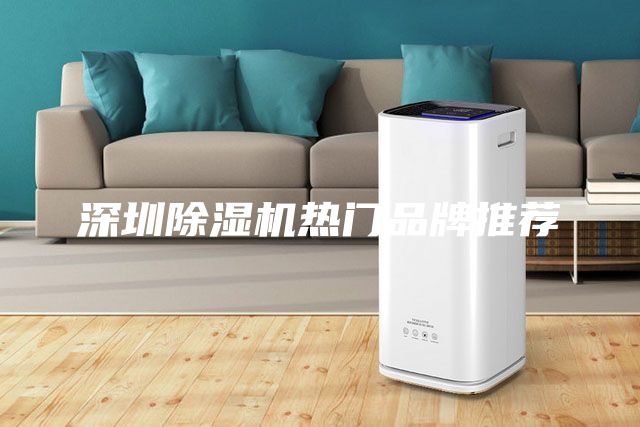 深圳除湿机热门品牌推荐