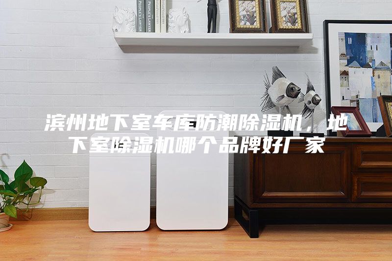 滨州地下室车库防潮除湿机，地下室除湿机哪个品牌好厂家