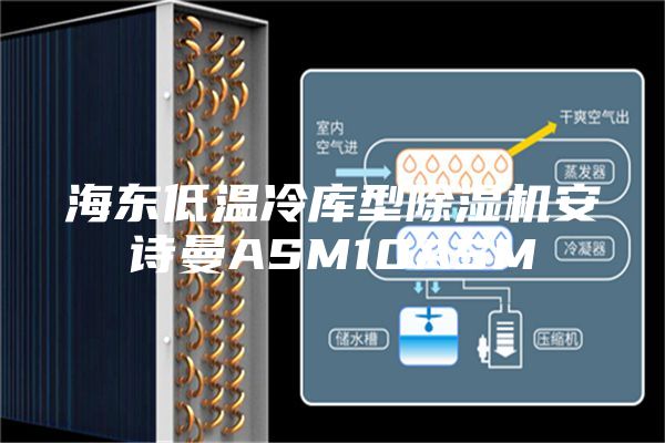 海东低温冷库型除湿机安诗曼ASM10ASM