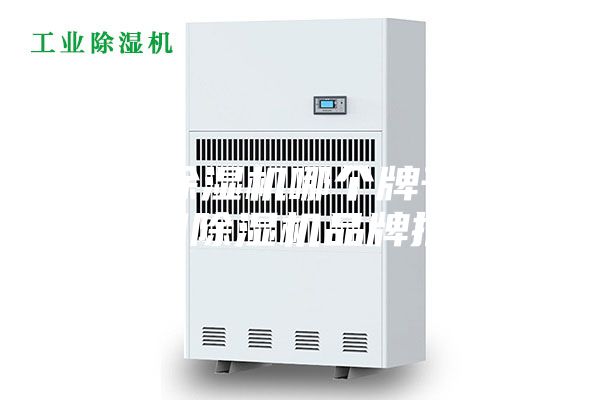 进口除湿机哪个牌子好_进口除湿机品牌推荐
