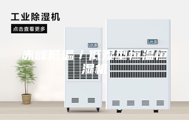 赤峰低温／低湿型恒温恒湿机