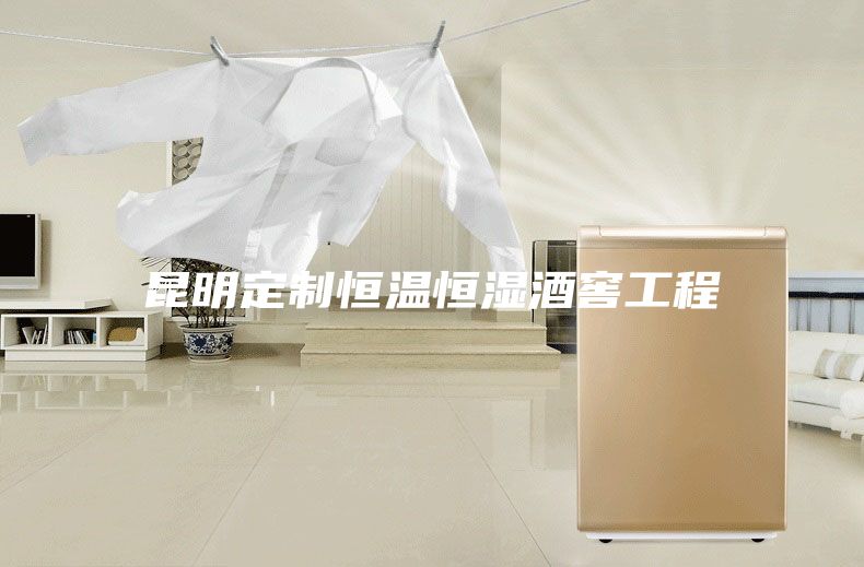 昆明定制恒温恒湿酒窖工程
