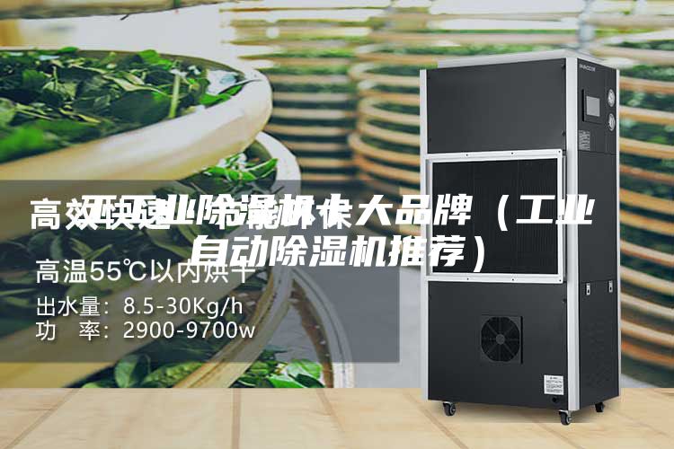 工工业除湿机十大品牌（工业自动除湿机推荐）