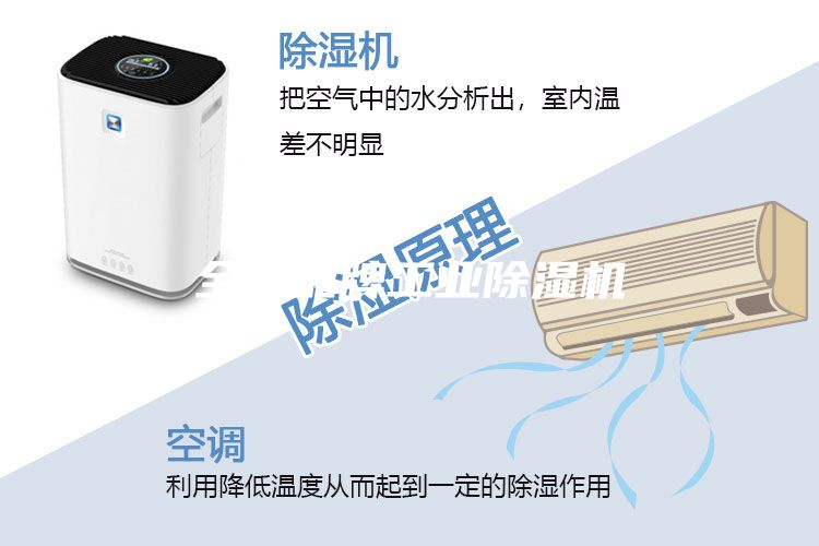 全国品牌工业除湿机