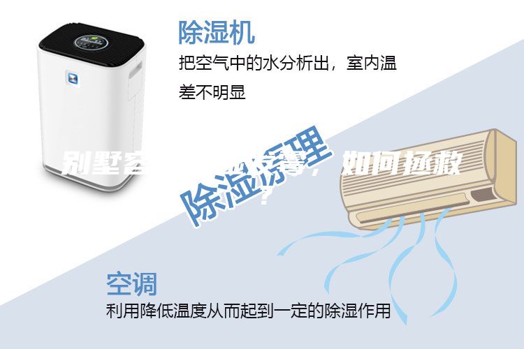 别墅容易潮湿发霉，如何拯救？