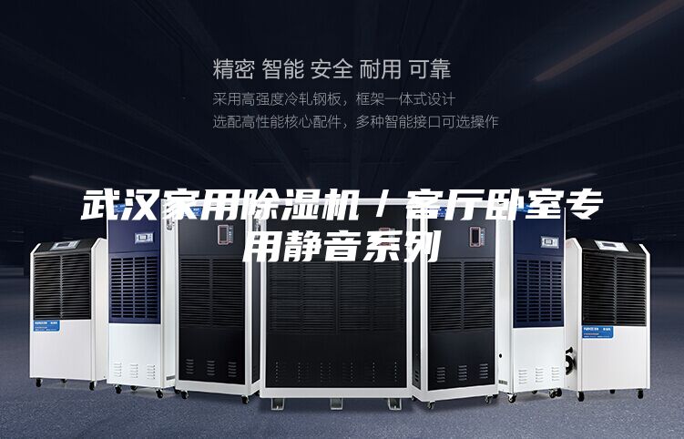 武汉家用除湿机／客厅卧室专用静音系列