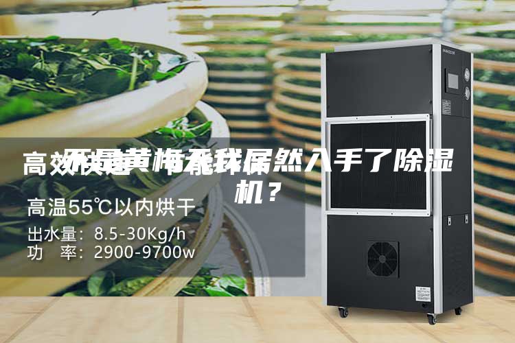 不是黄梅天我居然入手了除湿机？