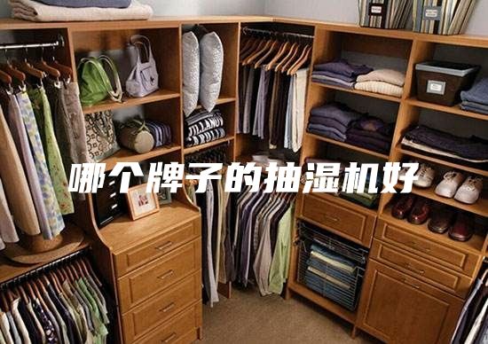 哪个牌子的抽湿机好