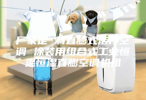 厂家定 制直膨式洁净空调 涂装用组合式工业恒温恒湿直膨空调机组