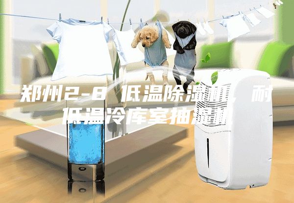 郑州2-8℃低温除湿机，耐低温冷库室抽湿机