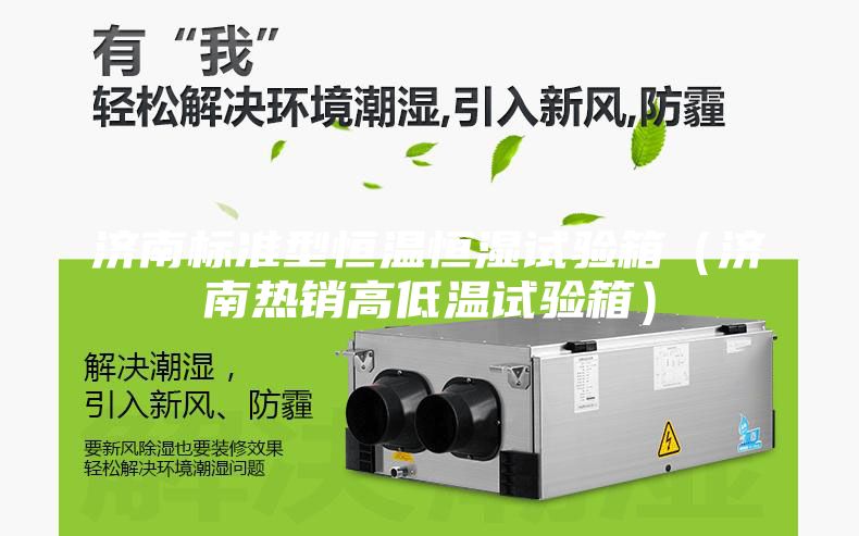 济南标准型恒温恒湿试验箱（济南热销高低温试验箱）