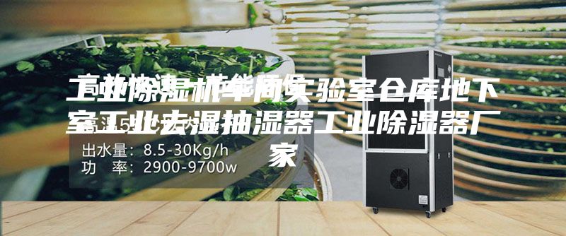 工业除湿机车间实验室仓库地下室工业去湿抽湿器工业除湿器厂家