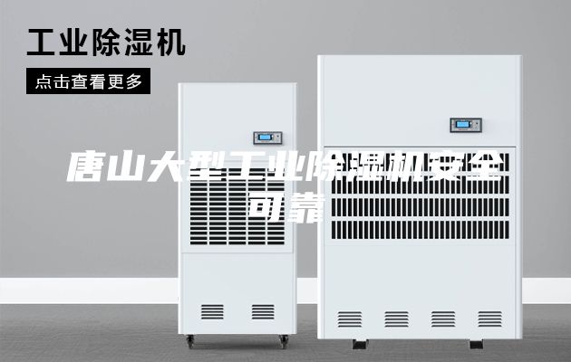 唐山大型工业除湿机安全可靠