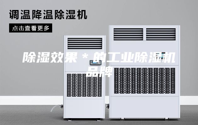 除湿效果＊的工业除湿机品牌