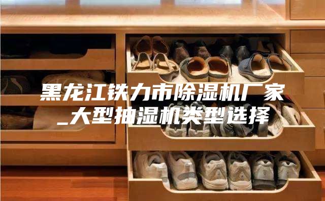 黑龙江铁力市除湿机厂家_大型抽湿机类型选择