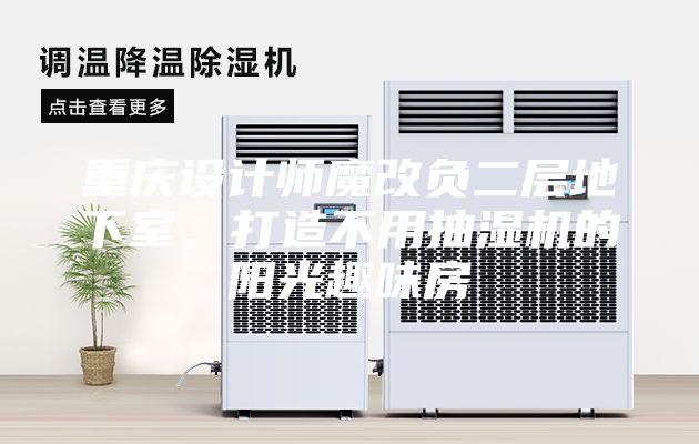 重庆设计师魔改负二层地下室，打造不用抽湿机的阳光趣味房