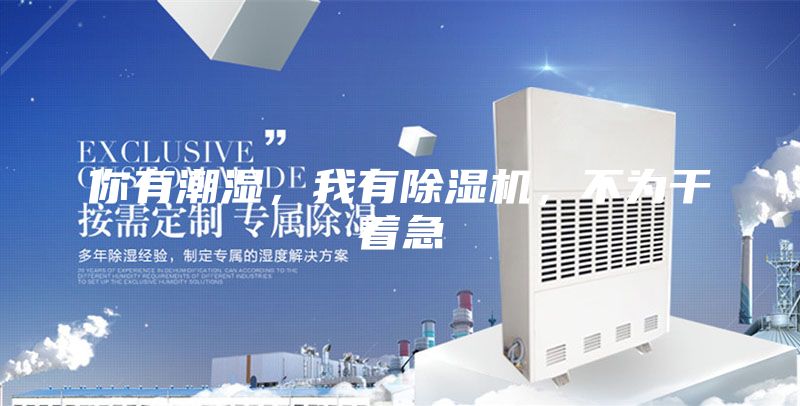 你有潮湿，我有除湿机，不为干着急