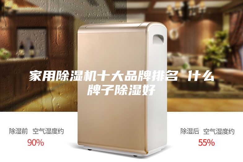 家用除湿机十大品牌排名 什么牌子除湿好