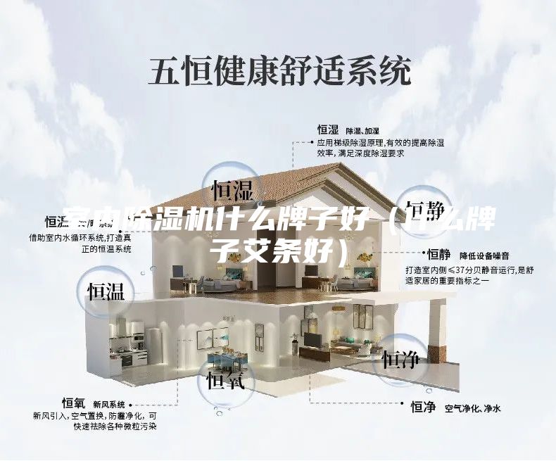 室内除湿机什么牌子好（什么牌子艾条好）