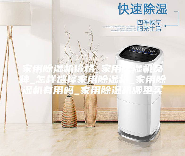 家用除湿机价格_家用除湿机品牌_怎样选择家用除湿机_家用除湿机有用吗_家用除湿机哪里买