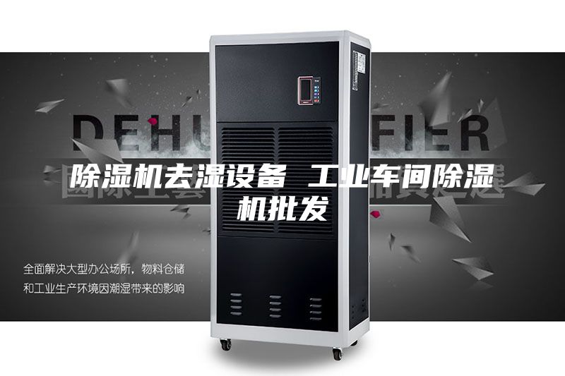 除湿机去湿设备 工业车间除湿机批发