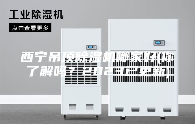 西宁吊顶除湿机哪家好(你了解吗？2023已更新)