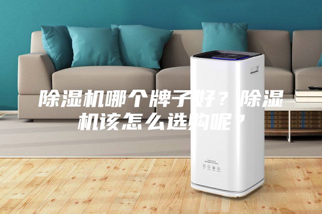 除湿机哪个牌子好？除湿机该怎么选购呢？
