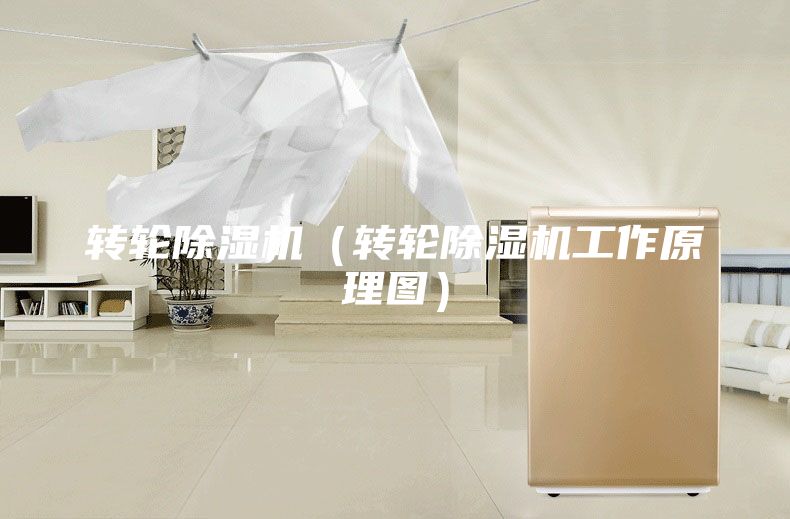 转轮除湿机（转轮除湿机工作原理图）