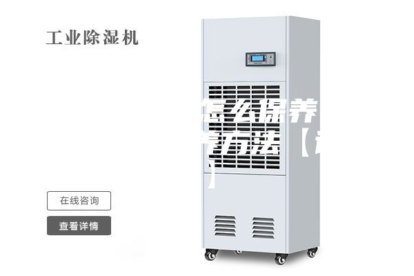 家用除湿机怎么保养 家用除湿机保养方法【详解】