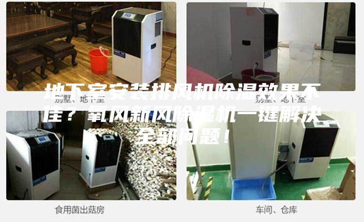 地下室安装排风机除湿效果不佳？氧风新风除湿机一键解决全部问题！