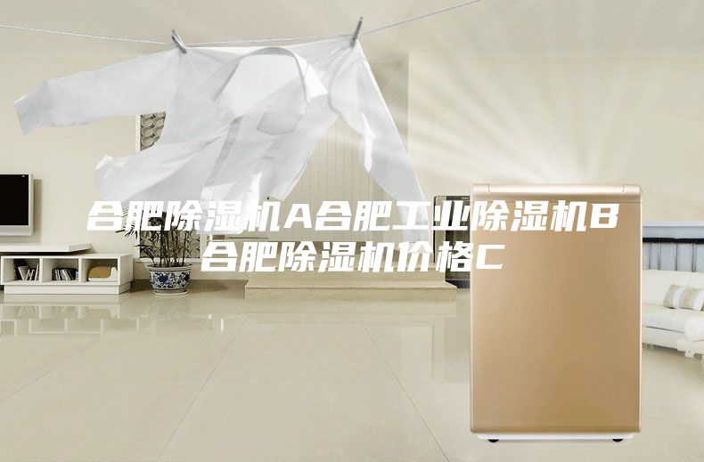 合肥除湿机A合肥工业除湿机B合肥除湿机价格C
