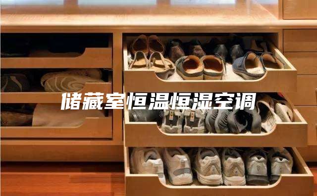 储藏室恒温恒湿空调